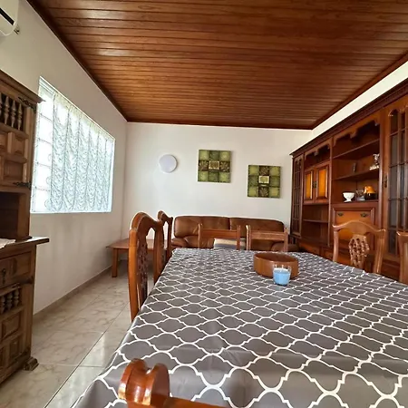 Monkey Americas Apartment