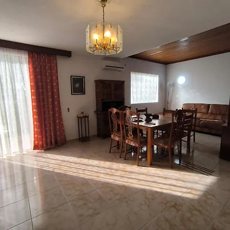 Monkey Americas Apartment